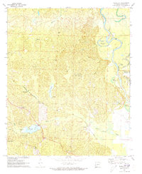 Bragg City 1971 topographic map thumbnail