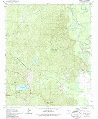 Bragg City 1971 topographic map thumbnail