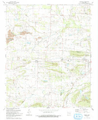 Branch 1993 topographic map thumbnail