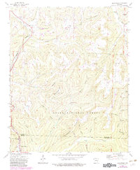 Brentwood 1973 topographic map thumbnail