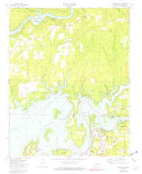 Brownsville 1973 topographic map thumbnail