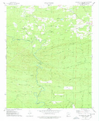 Chalybeate Mtn West topographic map thumbnail