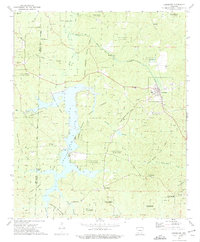 Chidester 1973 topographic map thumbnail
