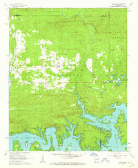 Fannie 1962 topographic map thumbnail