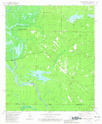 Felsenthal Dam 1981 topographic map thumbnail