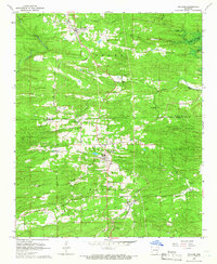 Gillham 1964 topographic map thumbnail