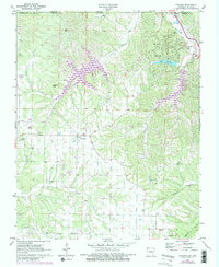 Hiwasse 1971 topographic map thumbnail