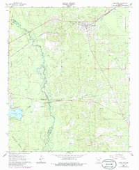 Kingsland 1966 topographic map thumbnail