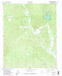 Lake Norrell 1974 topographic map thumbnail