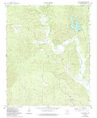 Lake Norrell 1974 topographic map thumbnail