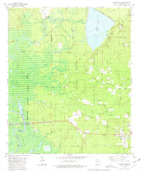 Marais Saline 1981 topographic map thumbnail