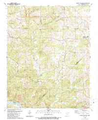 Mount Pleasant 1989 topographic map preview