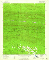 Mountain Fork 1958 topographic map thumbnail