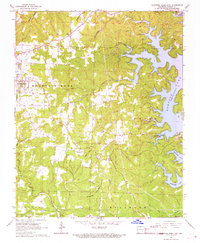 Mountain Home East 1966 topographic map thumbnail