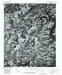 Mountain Home East 1979 topographic map thumbnail