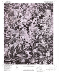 Mountain Home West 1979 topographic map thumbnail