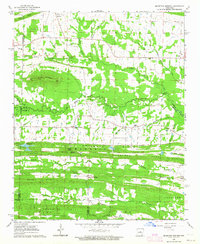 Mountain Springs 1963 topographic map thumbnail