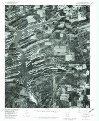 Narrows Dam 1980 topographic map thumbnail
