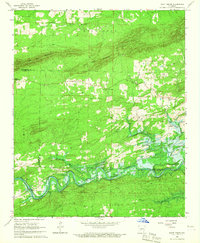 Point Cedar 1966 topographic map thumbnail