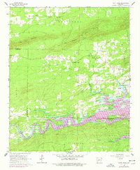 Point Cedar 1966 topographic map thumbnail