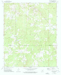 Relfs Bluff 1973 topographic map thumbnail