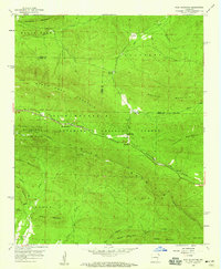 Rich Mountain 1958 topographic map thumbnail