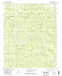 Smyrna 1980 topographic map thumbnail