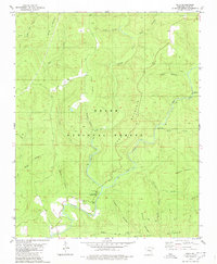 Solo 1980 topographic map thumbnail