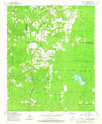 Spring Lake 1954 topographic map thumbnail
