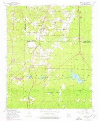 Spring Lake 1954 topographic map thumbnail