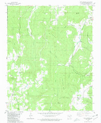 Witts Springs 1980 topographic map thumbnail
