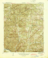 Mt Pleasant 1942 topographic map thumbnail