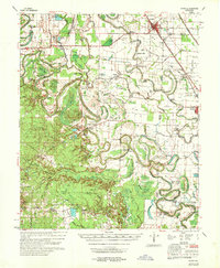 Rotan topographic map thumbnail