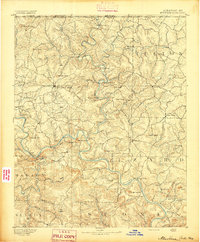 Mountain Home 1894 topographic map thumbnail