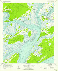 Bluffton 1956 topographic map thumbnail