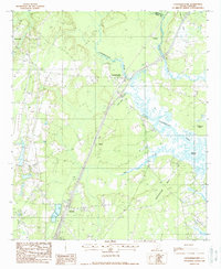 Coosawhatchie 1988 topographic map thumbnail