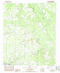 Crocketville 1988 topographic map thumbnail