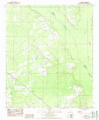 Cummings 1988 topographic map thumbnail