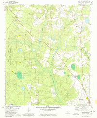 Long Branch 1979 topographic map thumbnail