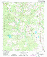 Long Branch 1979 topographic map thumbnail