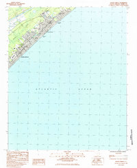 Ocean Forest 1984 topographic map thumbnail