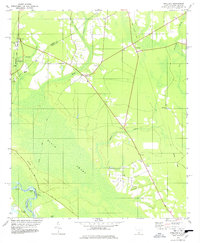 Pineland 1978 topographic map thumbnail