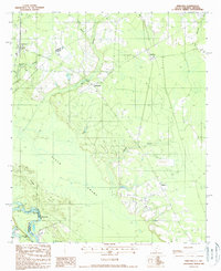 Pineland 1988 topographic map thumbnail