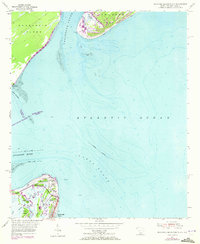 Savannah Beach North 1955 topographic map thumbnail