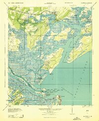 Bluffton 1945 topographic map thumbnail