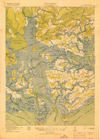 Edisto Island 1919 topographic map thumbnail