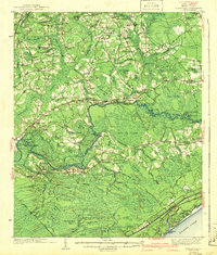 Nixonville 1942 topographic map thumbnail