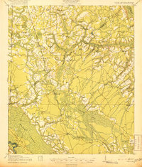 Pineland 1919 topographic map thumbnail