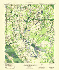Pineland 1943 topographic map thumbnail