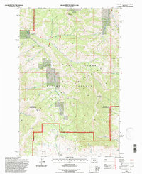 Arrow Peak 1995 topographic map thumbnail